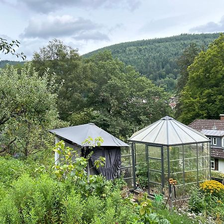 Wohn-Eitel Romantik Bad Wildbad Kültér fotó