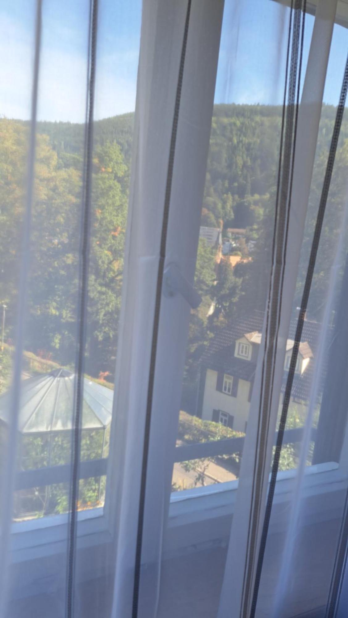 Wohn-Eitel Romantik Bad Wildbad Kültér fotó