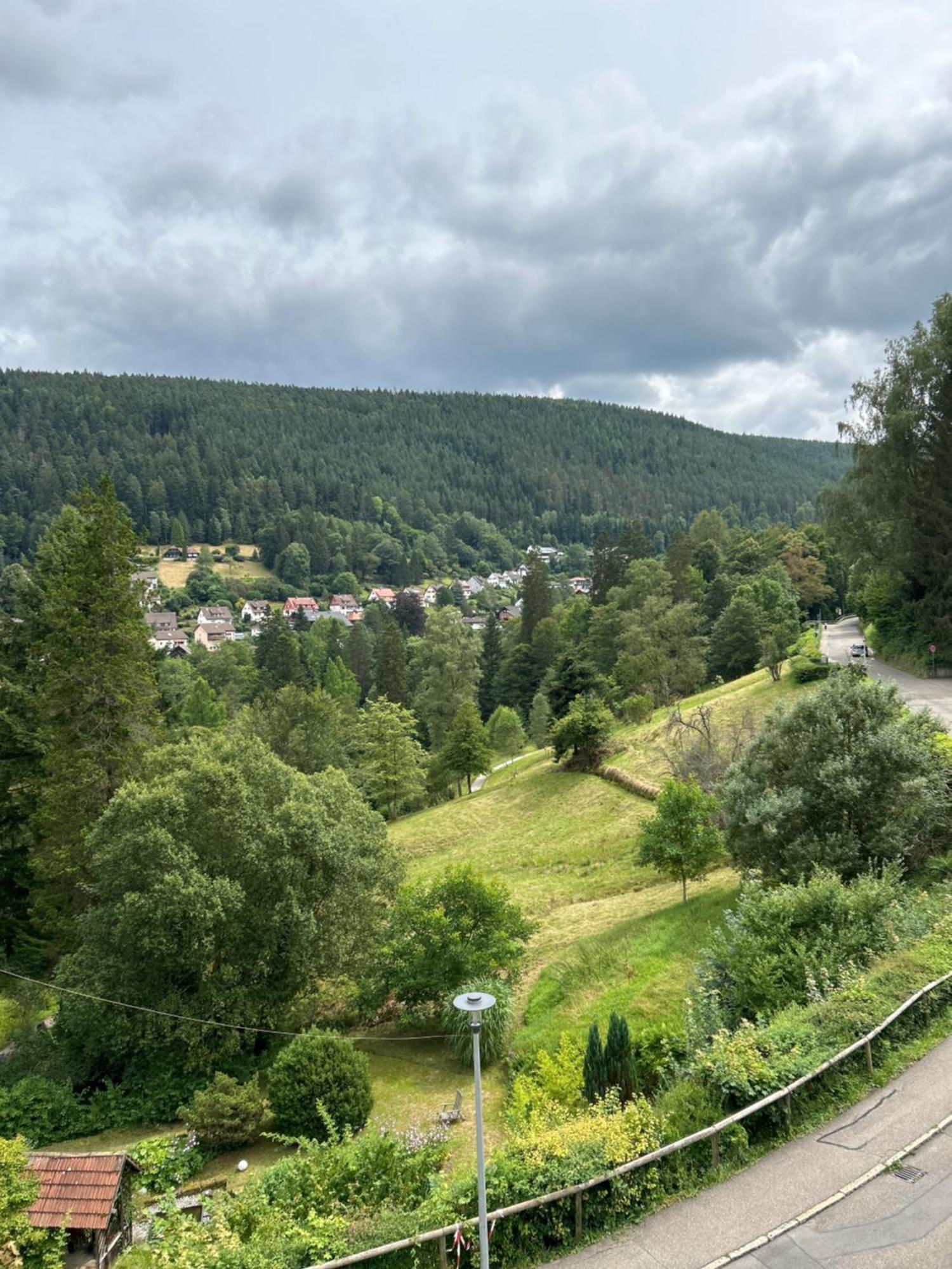 Wohn-Eitel Romantik Bad Wildbad Kültér fotó