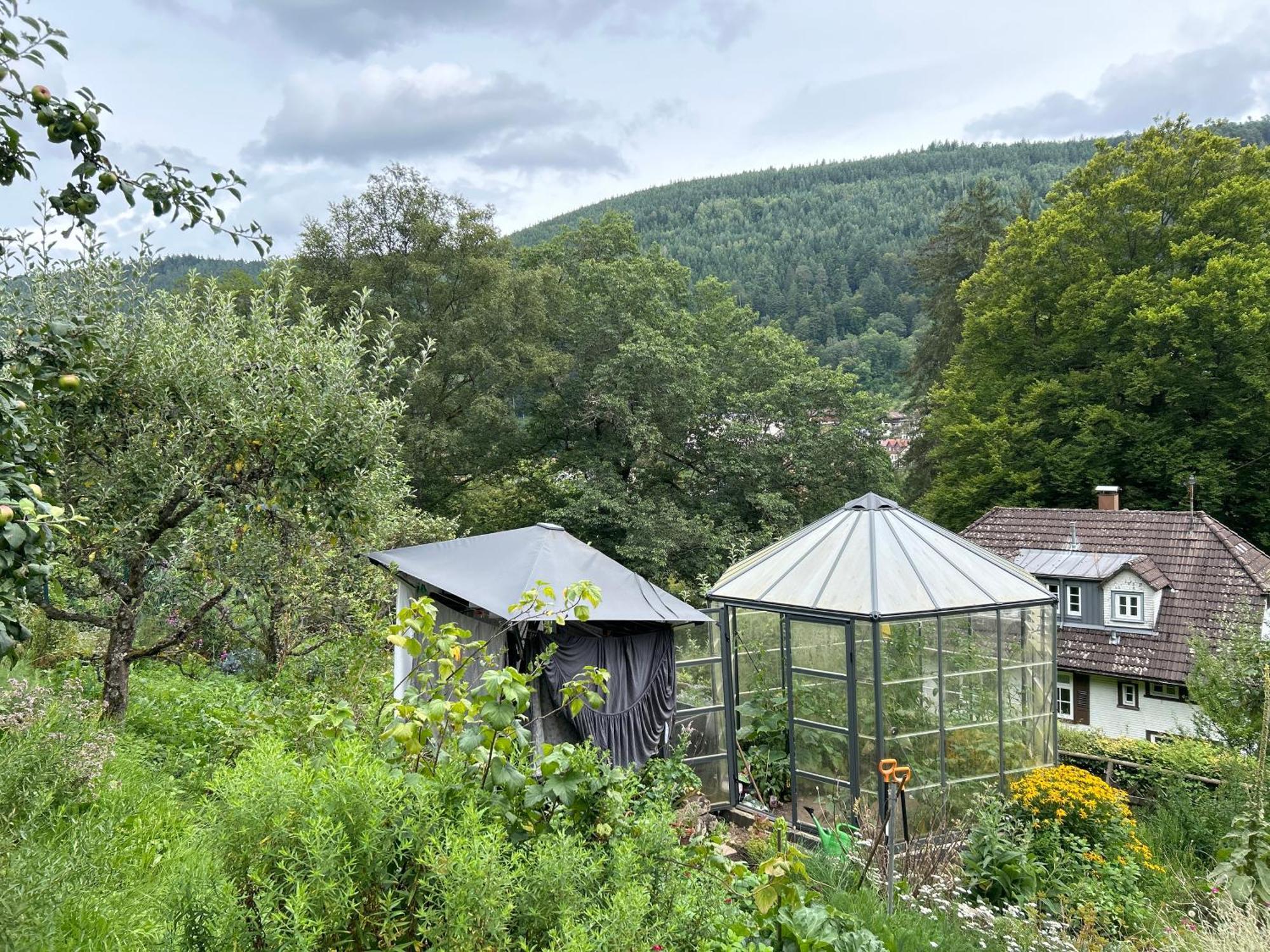 Wohn-Eitel Romantik Bad Wildbad Kültér fotó